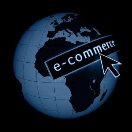Dynamic E-Commerce Wordpress Website